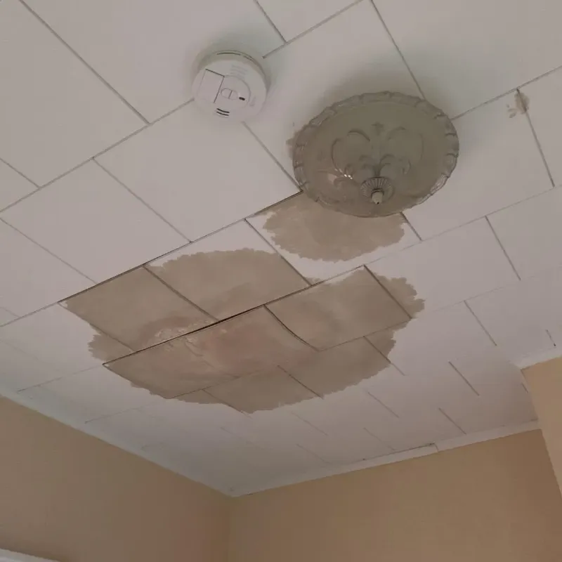 Ceiling Water Damage Repair in Midlothian, IL