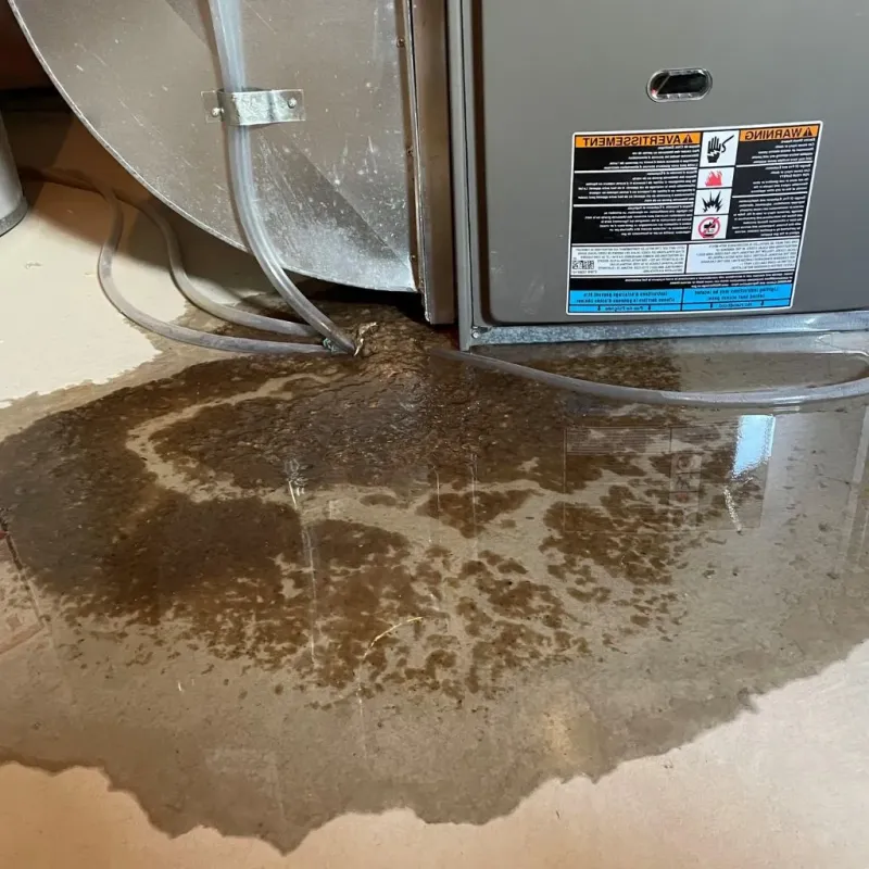 Pipe Burst and Leak Restoration in Midlothian, IL