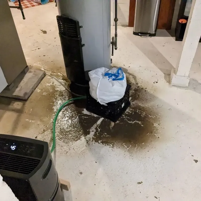 Sewage Backup Cleanup Service in Midlothian, IL